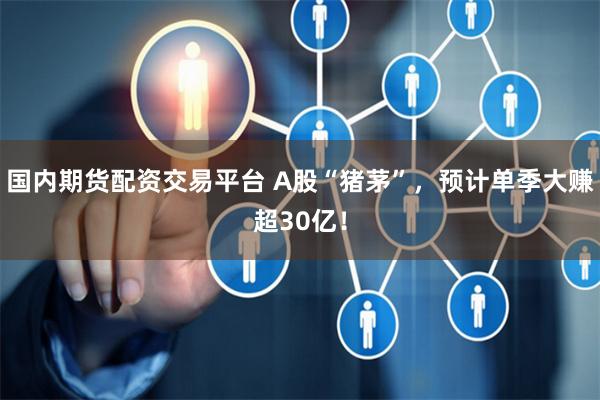 国内期货配资交易平台 A股“猪茅”，预计单季大赚超30亿！
